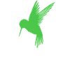 Hummingbird