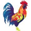 Rooster