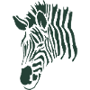 zebra