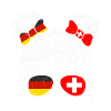 Suisse Allemagne Suisse