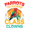 Parrots The Feathered Class Clowns