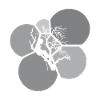 Baumklettern Kletterer