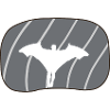 Wingsuit Vol Planeur Cascadeur