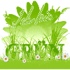 I'm Green - Flowers Meadow