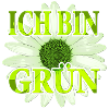 I'm Green - Margarite Flower
