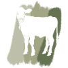 Vegan Animal Rights Fleisch