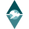 Wingsuit Flying Suit