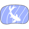Poisson Koi