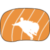 Wingsuit Flying Glide Suit