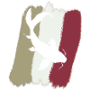Pêche aux carpes koï