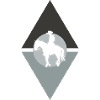 Cowboy Saddle Lasso