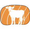 Vegan Food Animal Rights