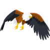 African Sea Eagle