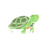 Turtle Sea Turtle Gift