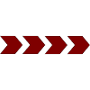 Zielstrebig