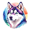 Husky de Sibérie Aquarelles