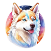 Husky de Sibérie Aquarelles