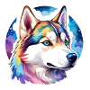 Husky de Sibérie Aquarelles