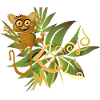 Tarsier dans la jungle