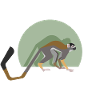 Squirrel monkey