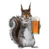 Eichhörnchen Bier