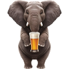 Elefant Bier