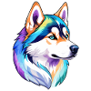 Husky de Sibérie Aquarelles