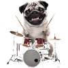 Mops Schlagzeug