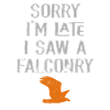 Falconry Bird Falcon Hunting Falconer