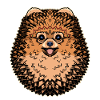 Stammes-Spitz