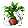 Chat et plantes d’intérieur