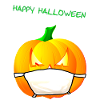 Pumpkin with face mask