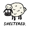 Sheltered sheep