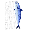 Mackerel Food