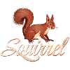 Squirrel Eichhörnchen