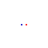 White Toulouse with French flag