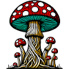 Champignons Fungo Funghi