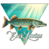 Hecht Raubfisch Angeln Fischen