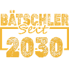 Jungeselle 2030