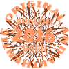 percent 2016