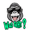 Funny monkey "What's up?" with sunglasses
