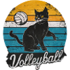 CatVolleyball