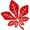 Leaf Chestnut