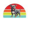 Cadeaux American Bully
