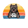 Cadeaux American Bully