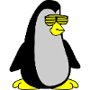 Cool Penguin 002