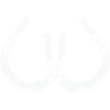 Horseshoe 2