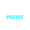 Poodle Pudel