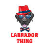 Hipster Labrador