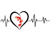 Heartbeat Carp Koi